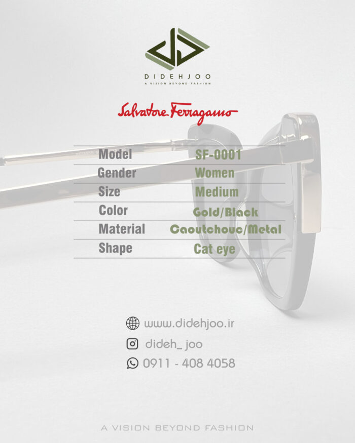 عینک سالواتر فرگامو sf0001  -(همراه با پک اصلی) - Image 3